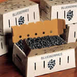 blueberry box