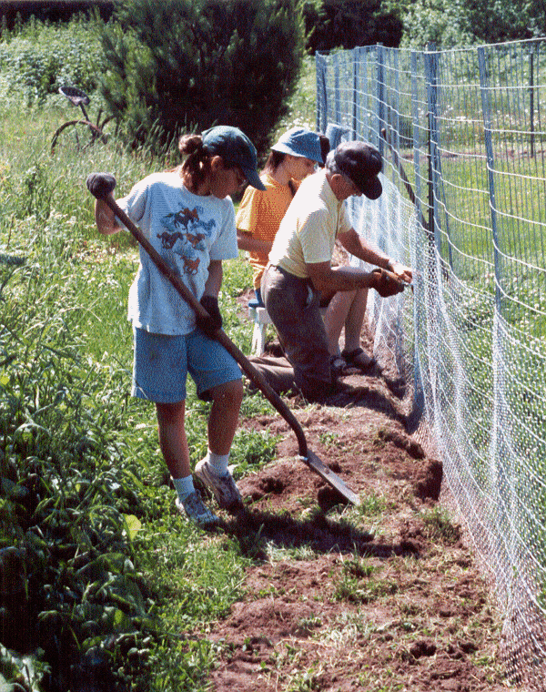 making fence