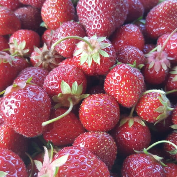 strawberries