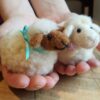 felted sheep