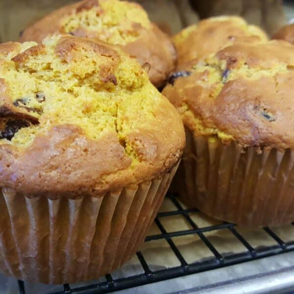 pumpkin craisin muffins