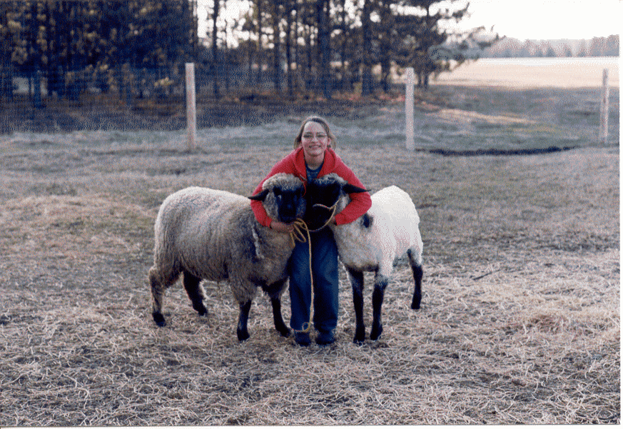 first sheep
