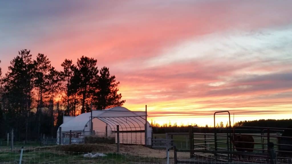 farm sunset