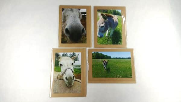 donkey cards