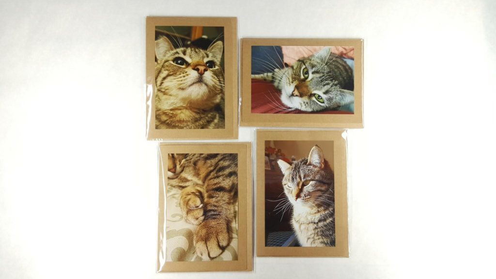 cat cards