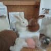 rabbit kit