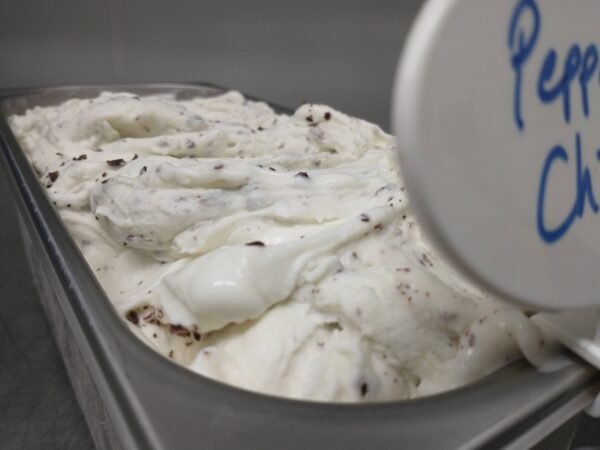 peppermint chip gelato