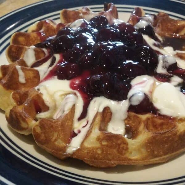 blueberry waffle