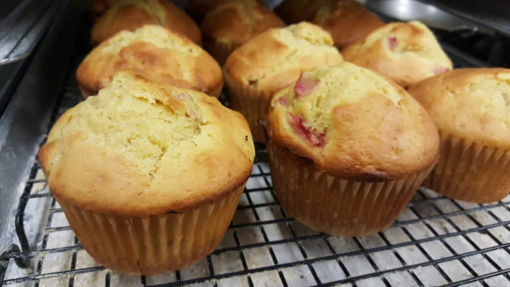 rhubarb muffins