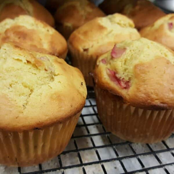 rhubarb muffins