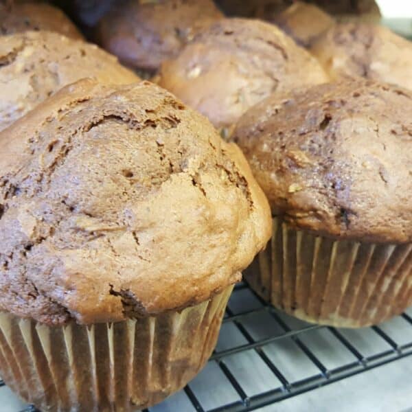 chocolate zucchini muffins