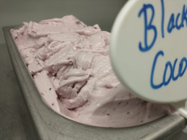 blackberry coconut gelato