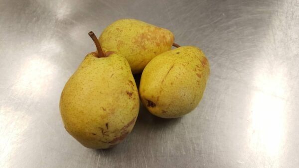 luscious pears