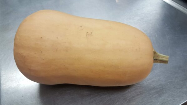 butternut squash