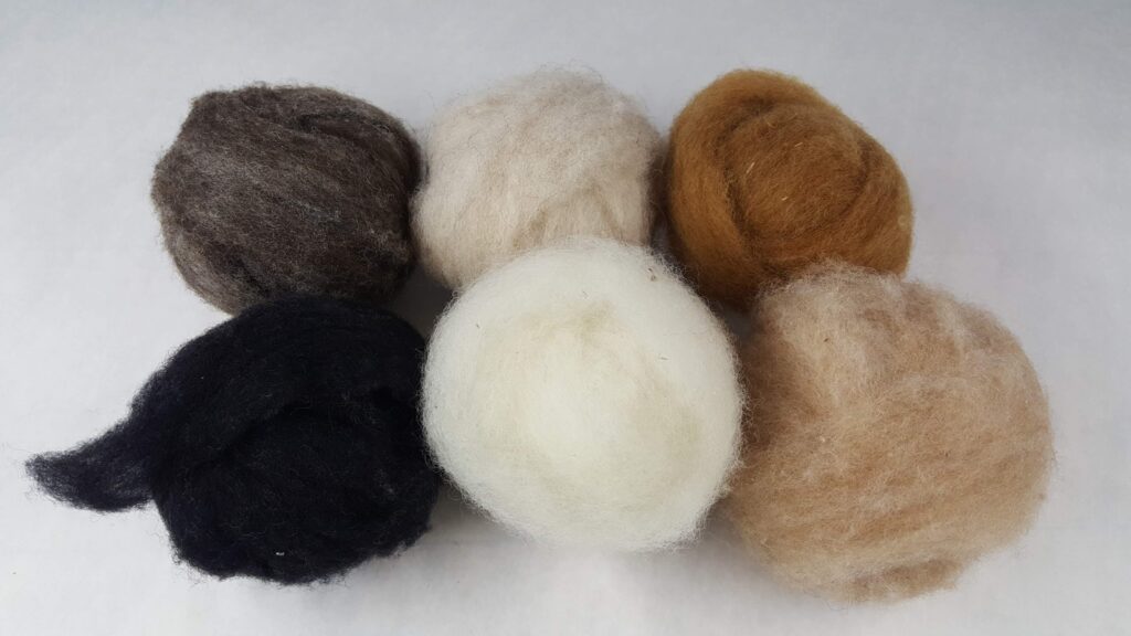 winter collection