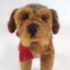 doggie closeup