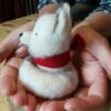 fox side view