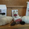 arctic fox felting kit