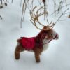 Felted Reindeer, Deluxe - Image 2