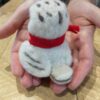 snowy owl back