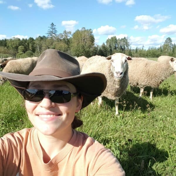 Raised on pasture, our flock of over 120 sheep enjoy the process of munching on a lush, diverse mix of grasses and clovers. The superior quality of their meat, milk and wool reflects the high integrity of their lifestyle and diet.