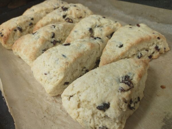 orange cran scones