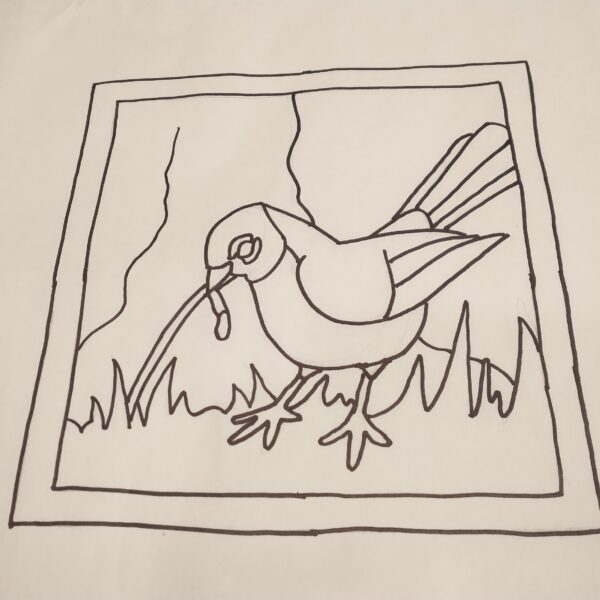 robin design