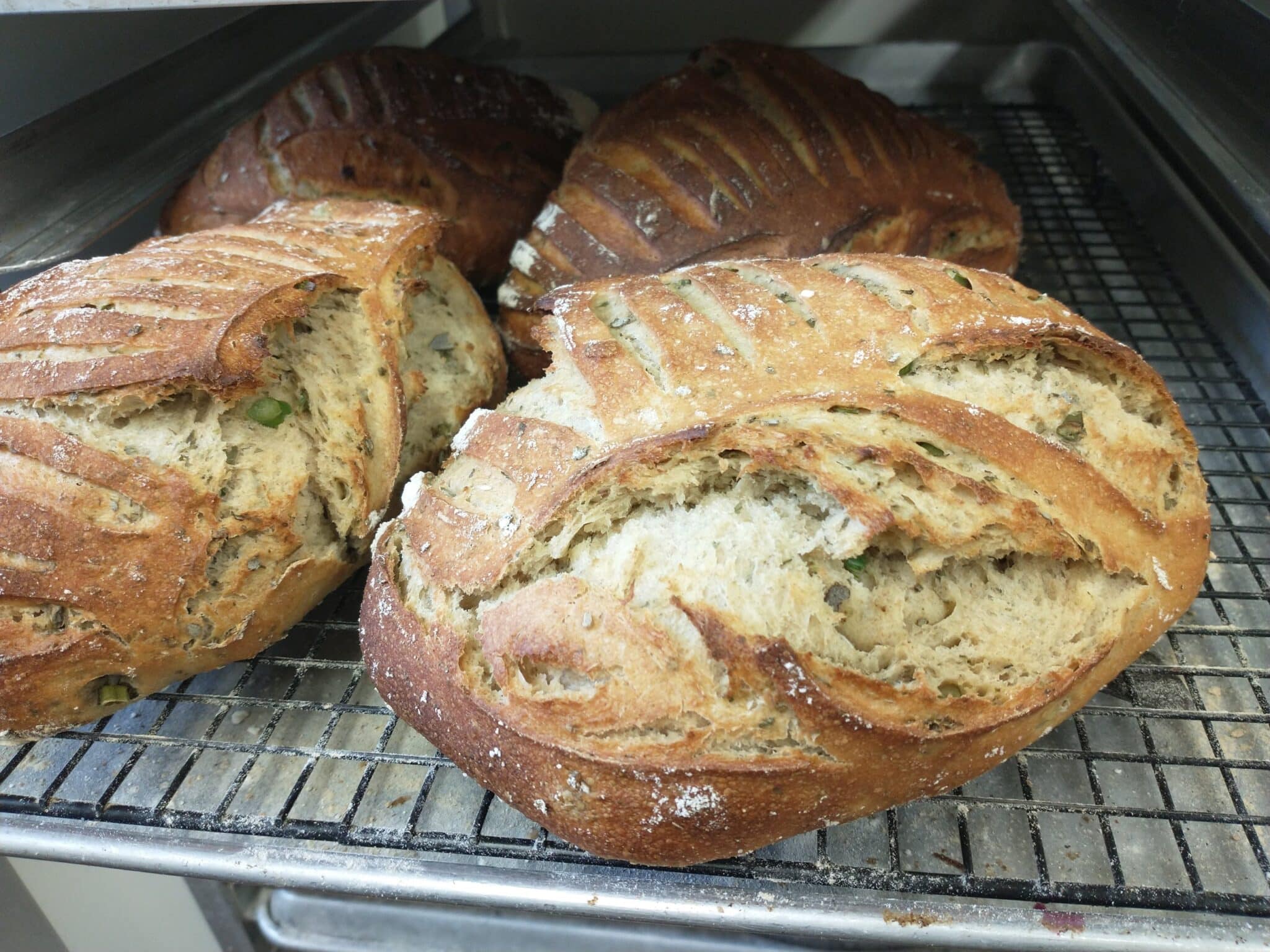 Garlic Herb Sourdough Bread, Frozen NSHF