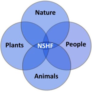 NSHF Interrelationships