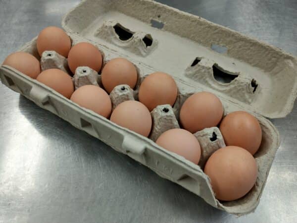pullet eggs