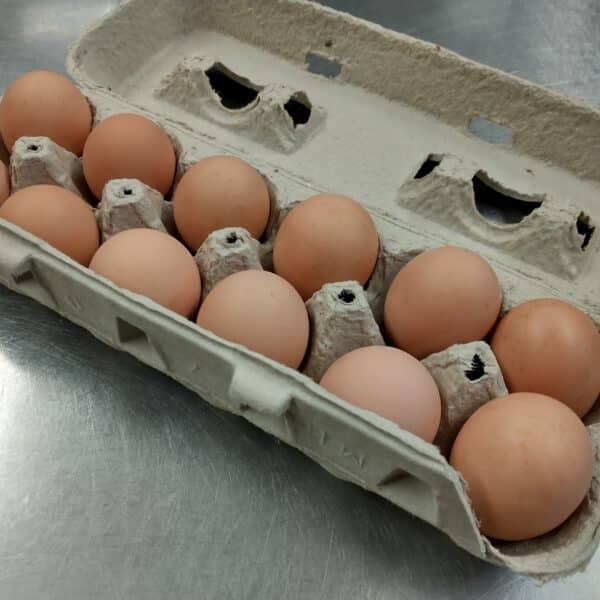 pullet eggs