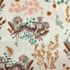 fawns detail