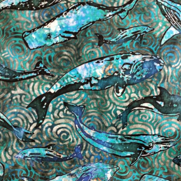 whales detail