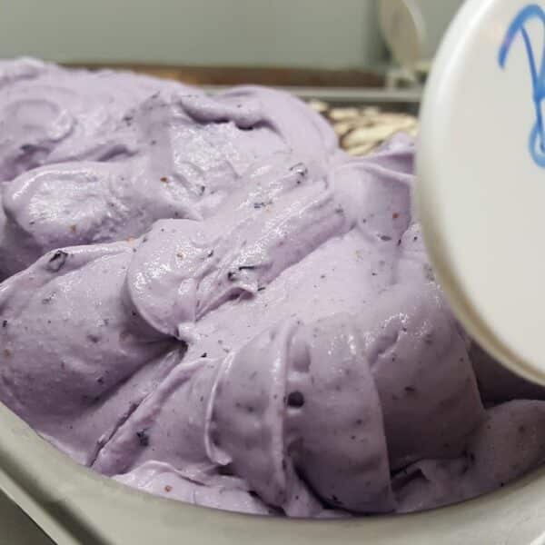 Blueberry Lavender Gelato, always a crowd pleaser !