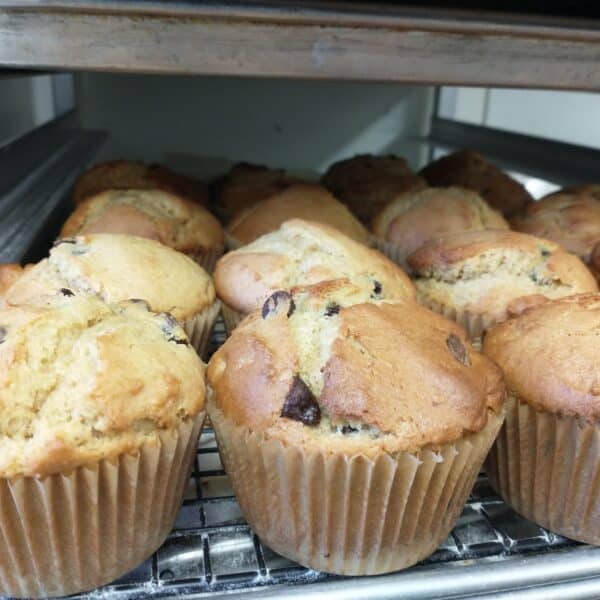 peanut butter choco chip muffins