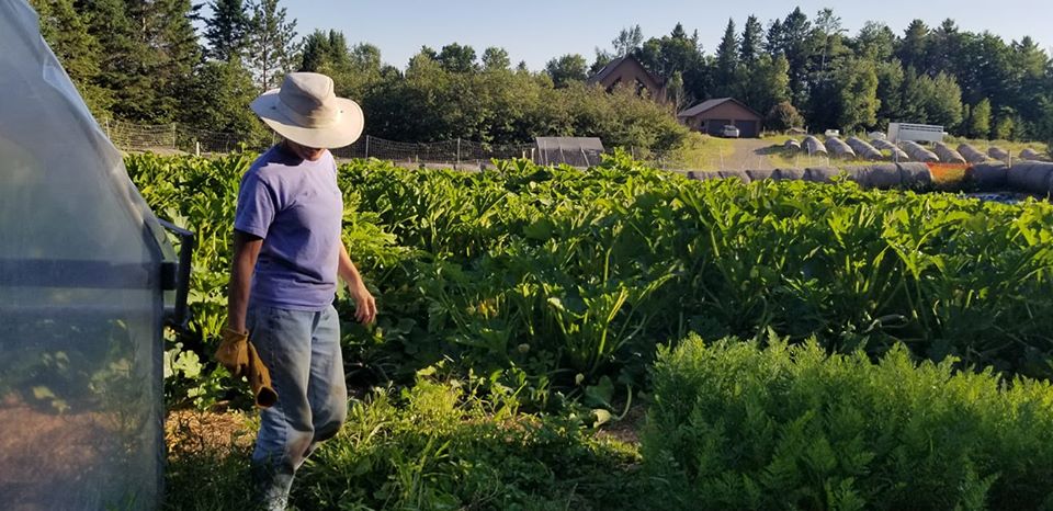 Ann in garden