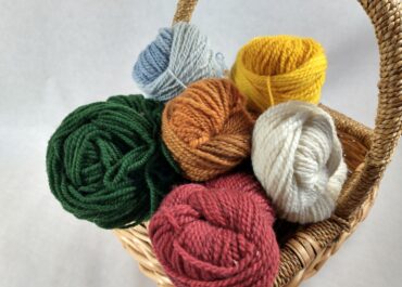 autumn colorway yarn