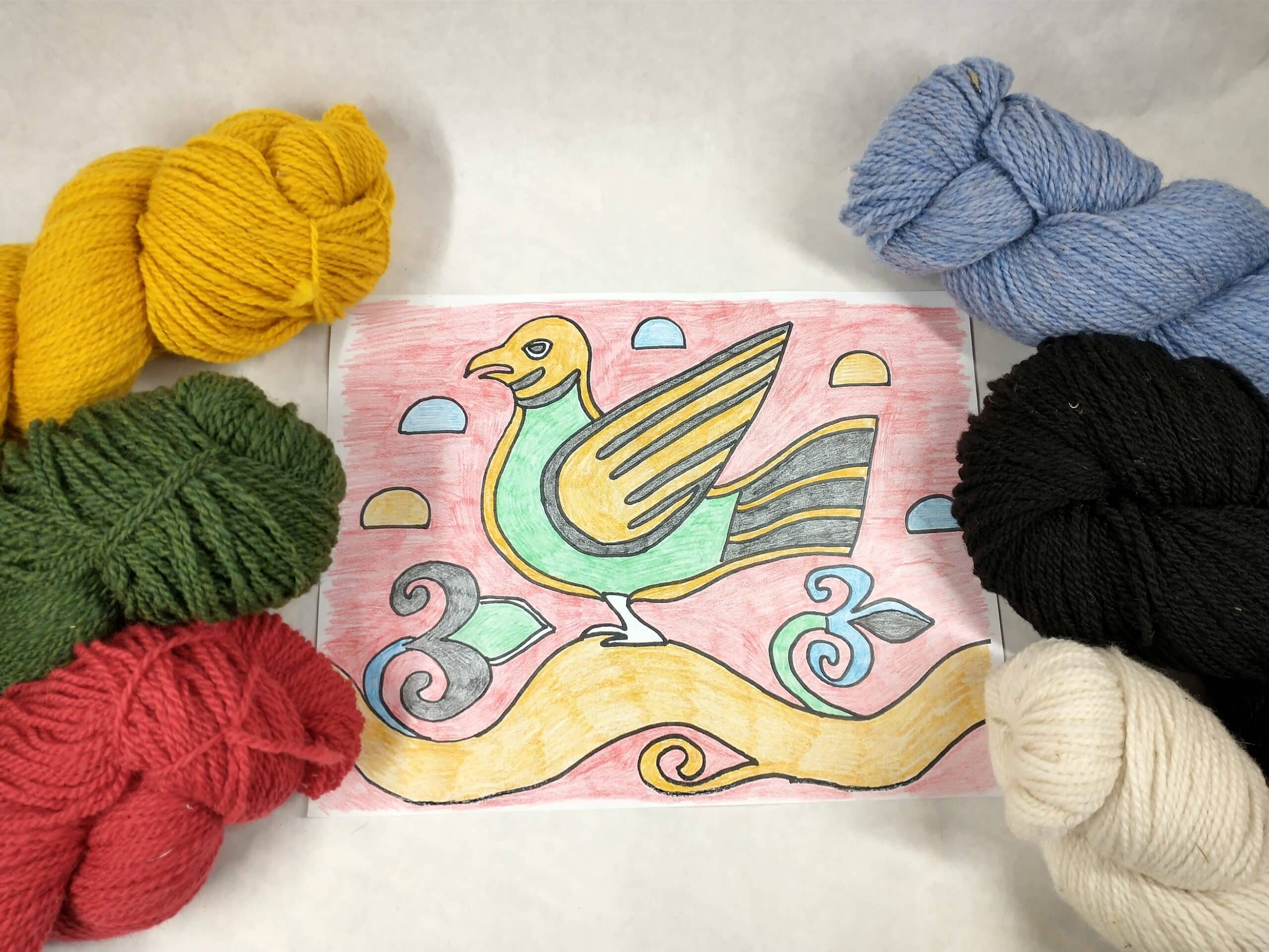 baldishol bird color 2