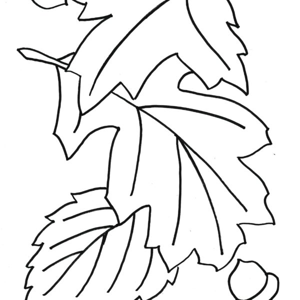autumn leaves design