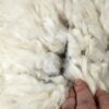 red fleece detail