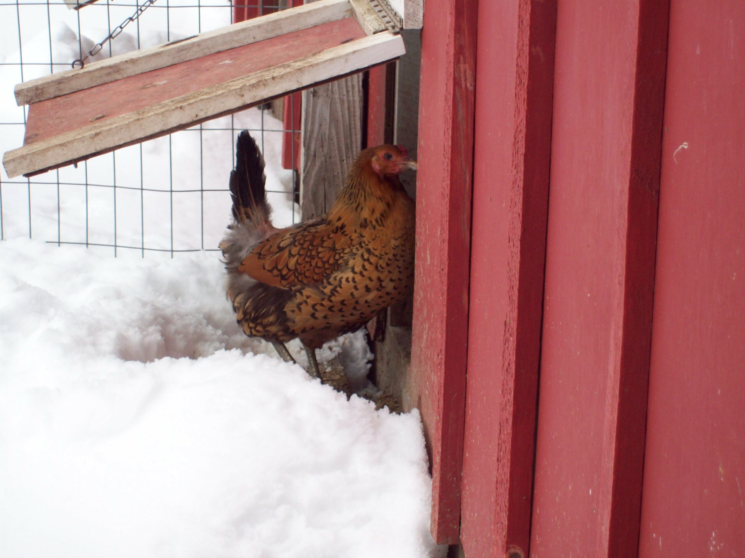 January Thaw