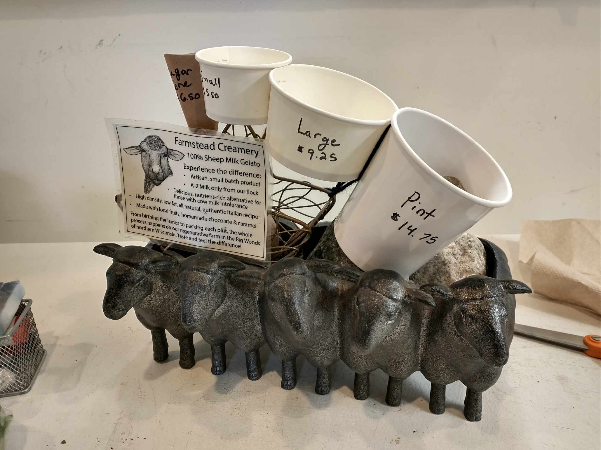 gelato sheep