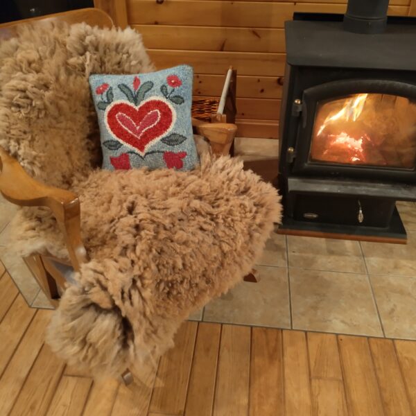 toast curly on chair