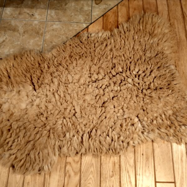 tan dense curly flat