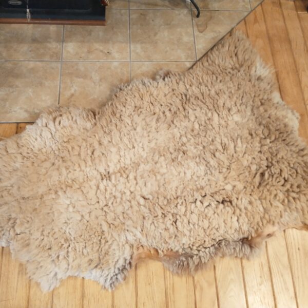 mottled gray base flat