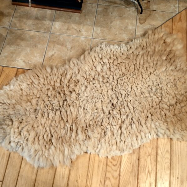 downy gray base flat