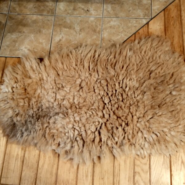 taupe gray streak flat