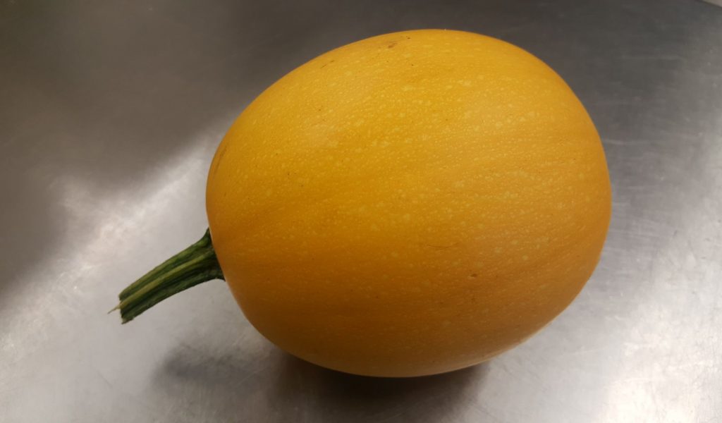 spaghetti squash