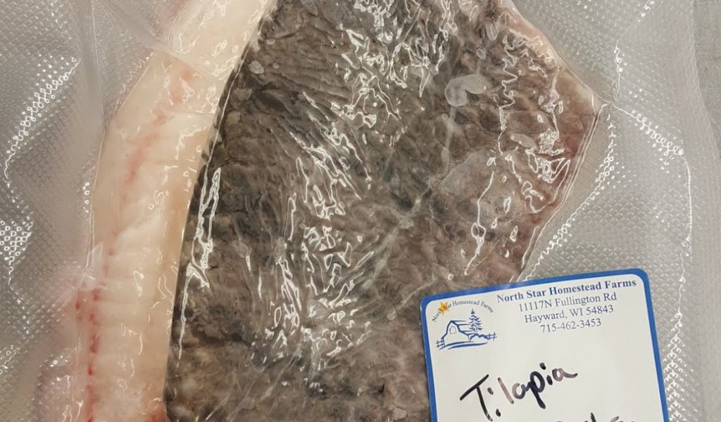 tilapia fillets