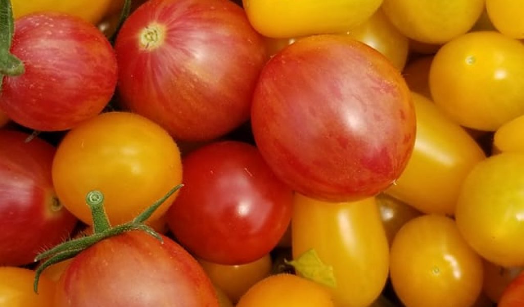 cherry tomatoes